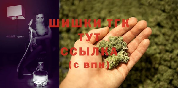 первитин Новозыбков
