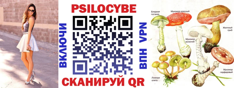 где найти   Волжск  Галлюциногенные грибы мицелий 