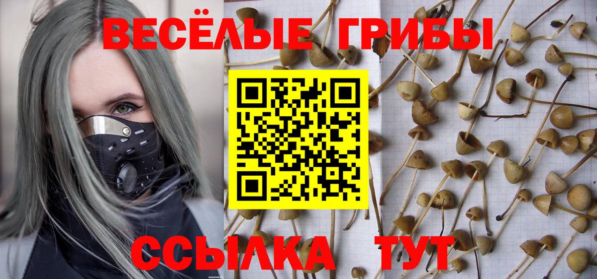 Волжск  Галлюциногенные грибы Magic Shrooms  Вход с VPN 