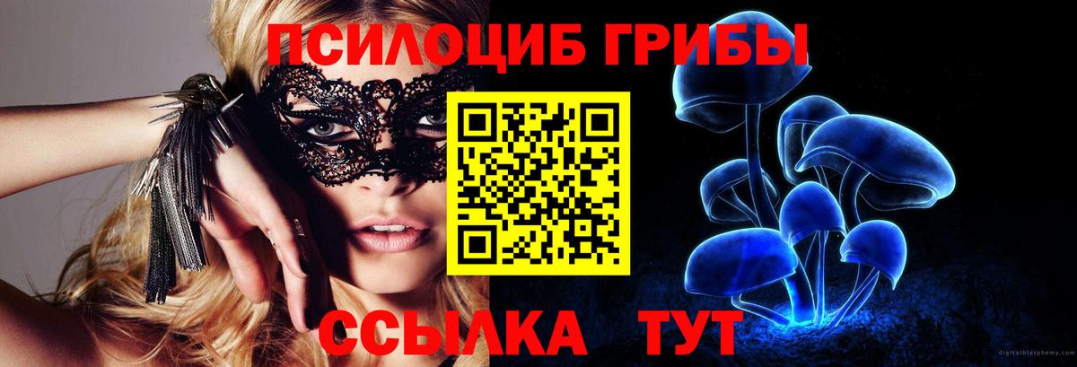 Галлюциногенные грибы GOLDEN TEACHER Волжск